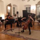 Glasovirski Trio - Vesna Palok, Violina, Nina Zvone, Violonelo I Toma irok, Glasovir