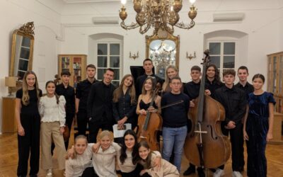 Koncert u Saloči